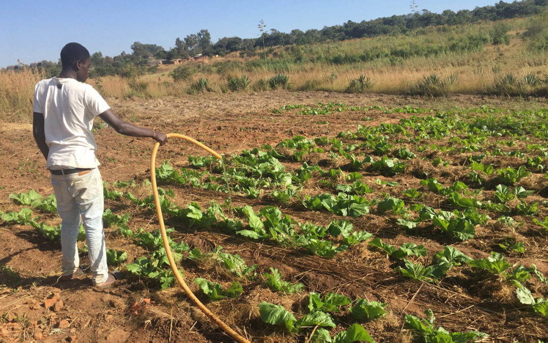 Irrigation Schemes